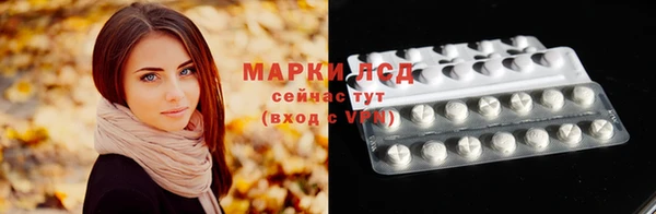 шишки Беломорск