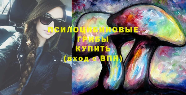 шишки Беломорск
