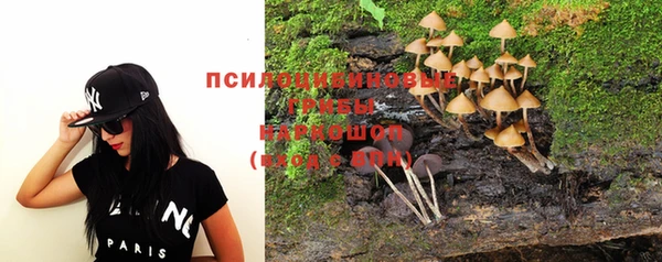 шишки Беломорск