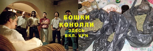 шишки Беломорск