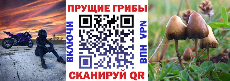 Галлюциногенные грибы GOLDEN TEACHER  Дюртюли 